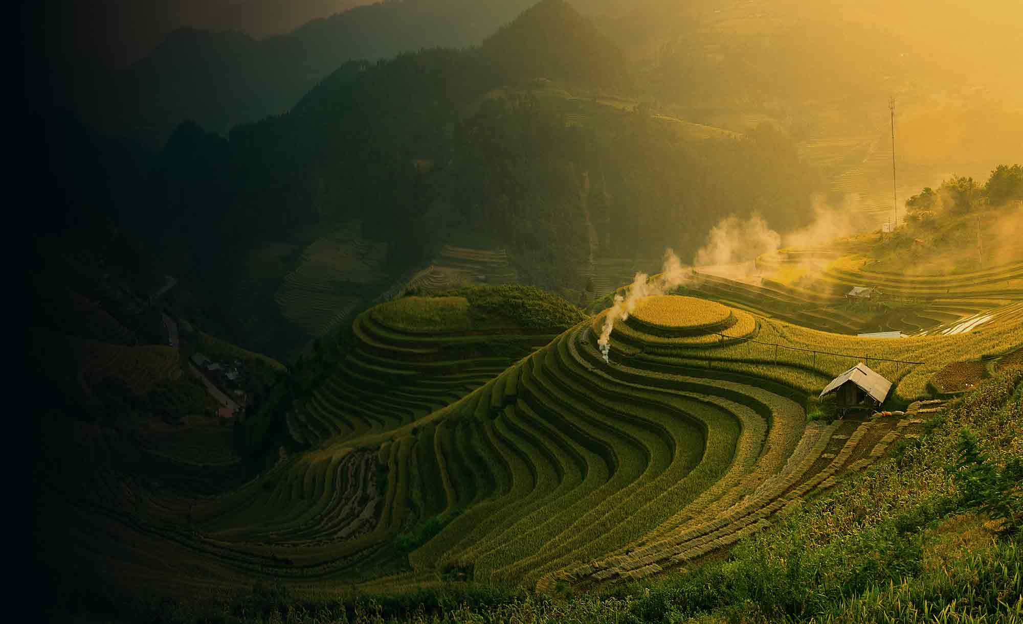  Hügeliges Grünland in Asien bei Nebel während der Dämmerung